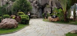 多重绿化景观：树不在多，巧植就行