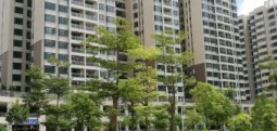 园林绿化养护工作中常见问题解答